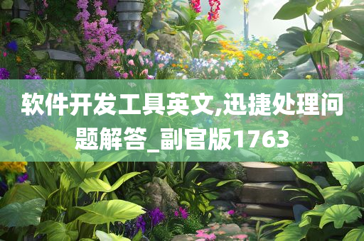 软件开发工具英文,迅捷处理问题解答_副官版1763