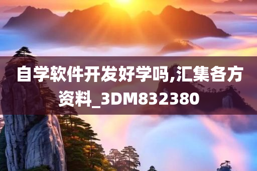 自学软件开发好学吗,汇集各方资料_3DM832380