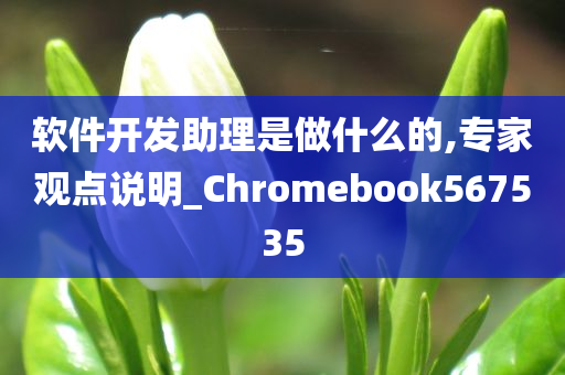 软件开发助理是做什么的,专家观点说明_Chromebook567535