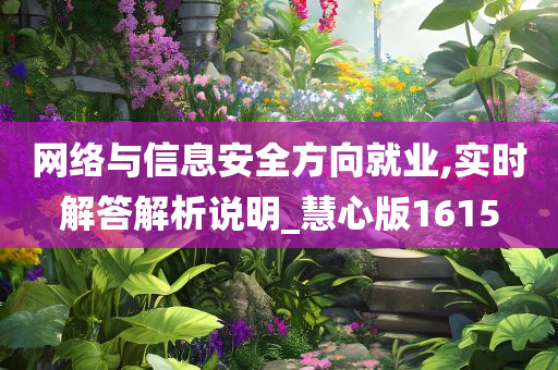 网络与信息安全方向就业,实时解答解析说明_慧心版1615