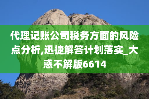 代理记账公司税务方面的风险点分析,迅捷解答计划落实_大惑不解版6614