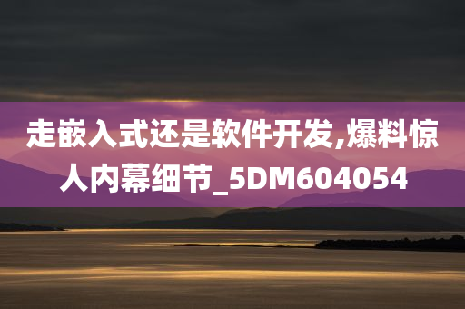 走嵌入式还是软件开发,爆料惊人内幕细节_5DM604054