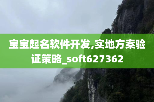 宝宝起名软件开发,实地方案验证策略_soft627362