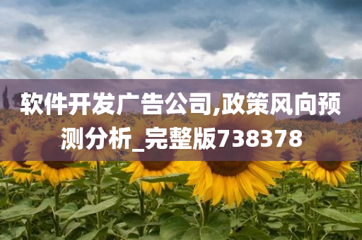 软件开发广告公司,政策风向预测分析_完整版738378