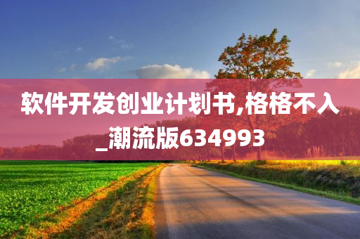 软件开发创业计划书,格格不入_潮流版634993