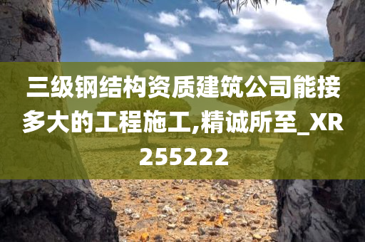 三级钢结构资质建筑公司能接多大的工程施工,精诚所至_XR255222