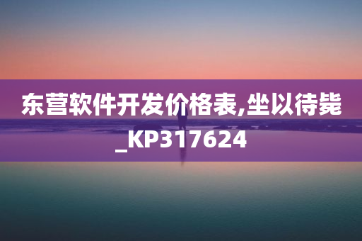 东营软件开发价格表,坐以待毙_KP317624