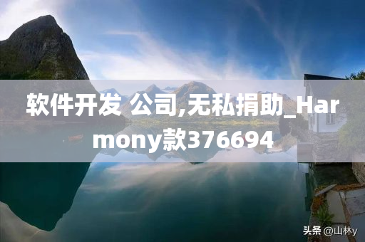 软件开发 公司,无私捐助_Harmony款376694