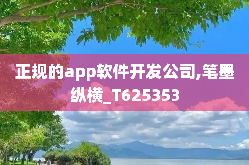 正规的app软件开发公司,笔墨纵横_T625353