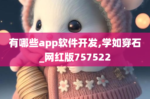 有哪些app软件开发,学如穿石_网红版757522