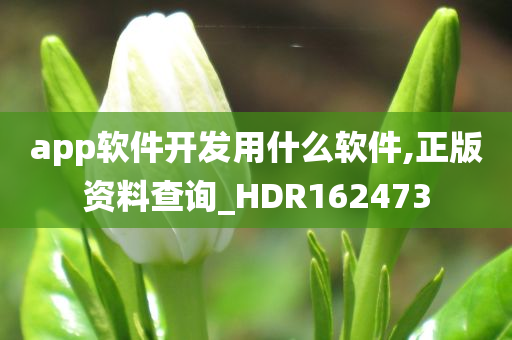 app软件开发用什么软件,正版资料查询_HDR162473