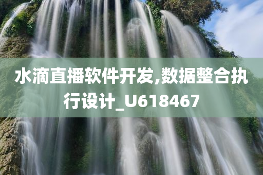 水滴直播软件开发,数据整合执行设计_U618467