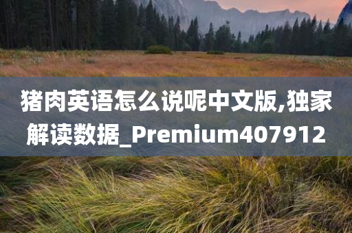 猪肉英语怎么说呢中文版,独家解读数据_Premium407912