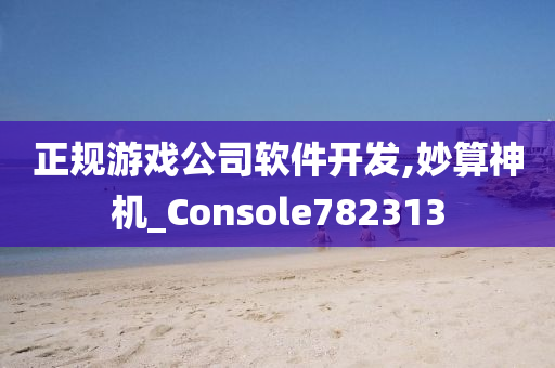 正规游戏公司软件开发,妙算神机_Console782313