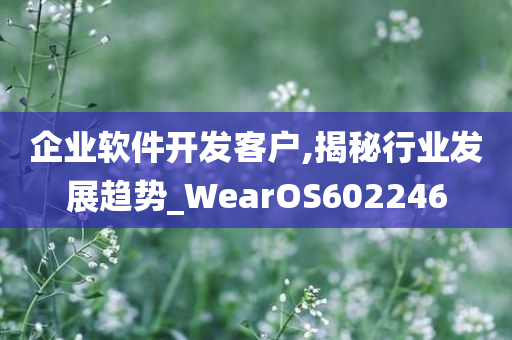 企业软件开发客户,揭秘行业发展趋势_WearOS602246