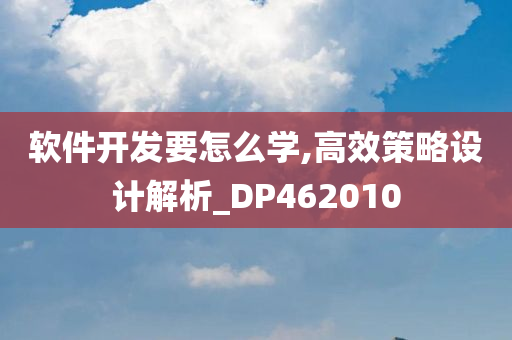 软件开发要怎么学,高效策略设计解析_DP462010