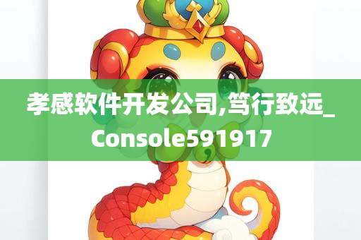 孝感软件开发公司,笃行致远_Console591917