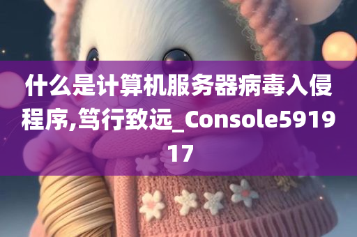 什么是计算机服务器病毒入侵程序,笃行致远_Console591917