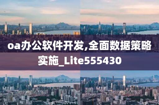 oa办公软件开发,全面数据策略实施_Lite555430