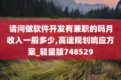 请问做软件开发有兼职的吗月收入一般多少,高速规划响应方案_轻量版748529