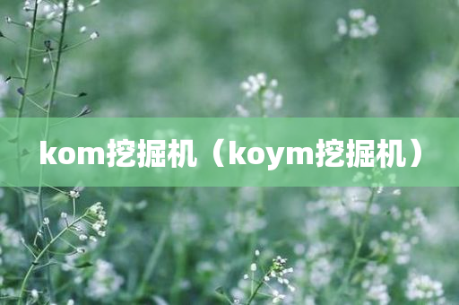 kom挖掘机（koym挖掘机）