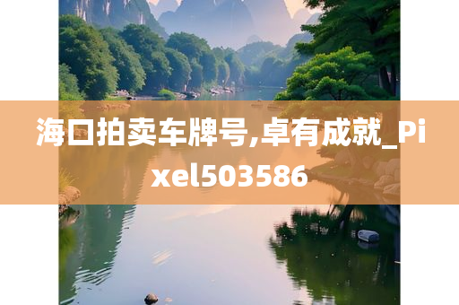 海口拍卖车牌号,卓有成就_Pixel503586