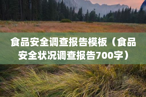 食品安全调查报告模板（食品安全状况调查报告700字）