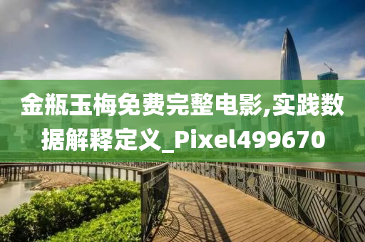 金瓶玉梅免费完整电影,实践数据解释定义_Pixel499670