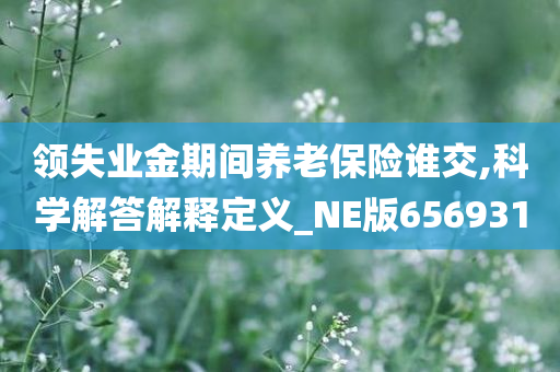 领失业金期间养老保险谁交,科学解答解释定义_NE版656931