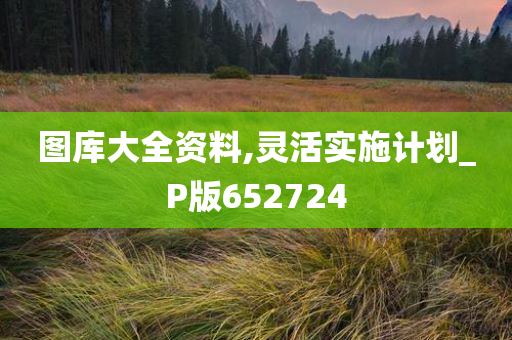 图库大全资料,灵活实施计划_P版652724