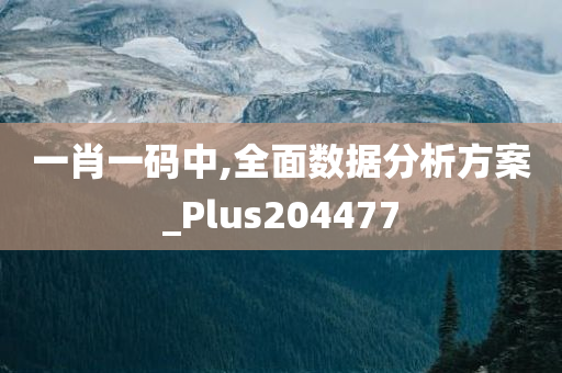 一肖一码中,全面数据分析方案_Plus204477