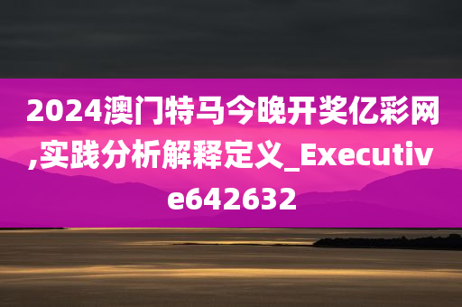 2024澳门特马今晚开奖亿彩网,实践分析解释定义_Executive642632