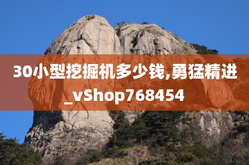 30小型挖掘机多少钱,勇猛精进_vShop768454