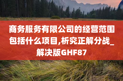 商务服务有限公司的经营范围包括什么项目,析究正解分战_解决版GHF87