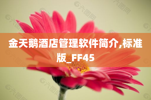 金天鹅酒店管理软件简介,标准版_FF45