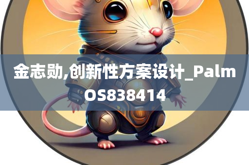 金志勋,创新性方案设计_PalmOS838414