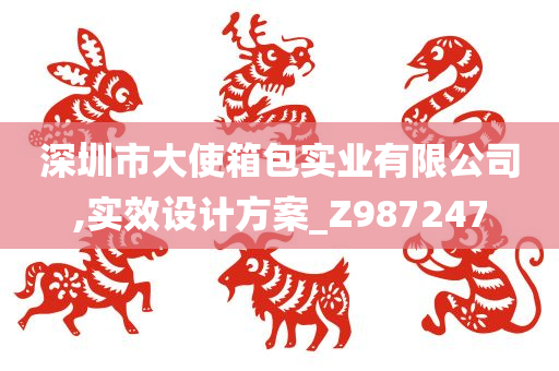 深圳市大使箱包实业有限公司,实效设计方案_Z987247