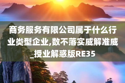 商务服务有限公司属于什么行业类型企业,数不落实威解准威_授业解惑版RE35