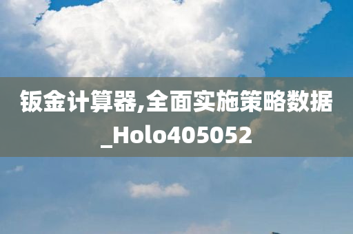 钣金计算器,全面实施策略数据_Holo405052