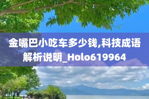 金嘴巴小吃车多少钱,科技成语解析说明_Holo619964