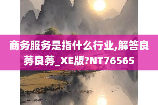 商务服务是指什么行业,解答良莠良莠_XE版?NT76565